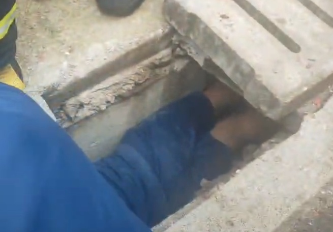 为捡一块钱,男孩被“吞手”,哭倒在路边! 为捡一块钱,男孩被“吞手”,哭倒在路边!