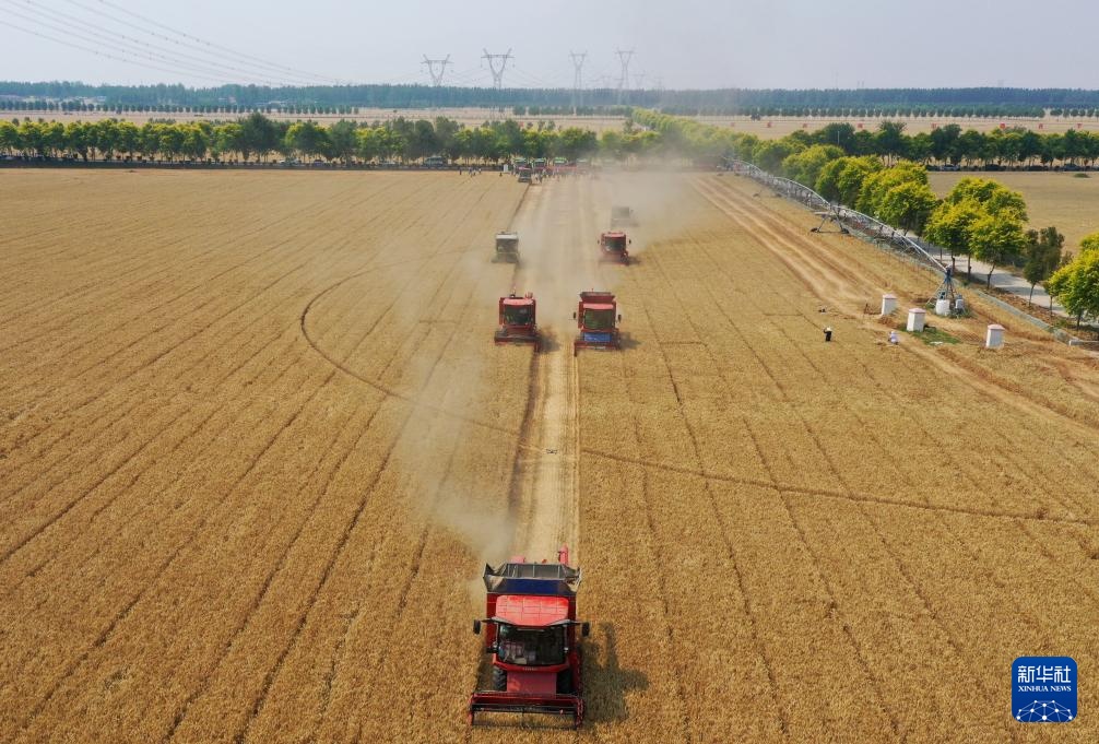 麦田机收大“比武” 减损节粮助增收