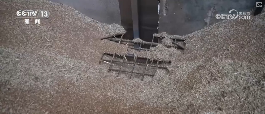 粮食减损过硬“新招”让颗粒归仓有保障 科技赋能夯实粮食安全 粮食减损过硬“新招”让颗粒归仓有保障 科技赋能夯实粮食安全