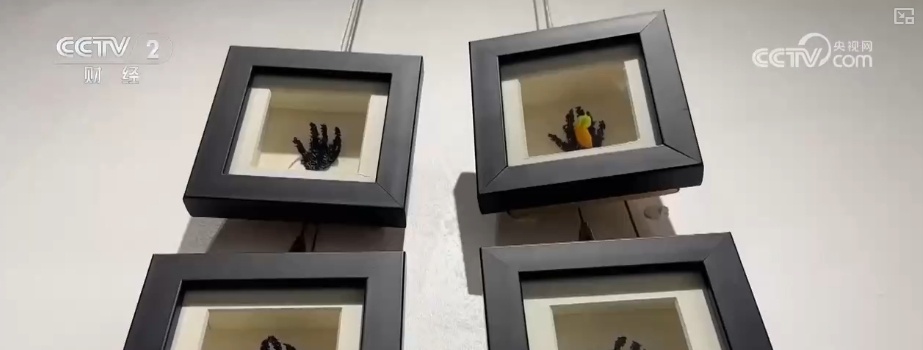 “中国购”不止买买买!多样文化深度体验引客来 “洋景漂”逐梦千年瓷都 “中国购”不止买买买!多样文化深度体验引客来 “洋景漂”逐梦千年瓷都