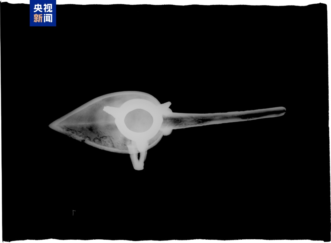 考古成果上新!中国龙再添新形象 考古成果上新!中国龙再添新形象