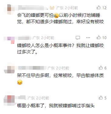 蟑螂也会咬人?网友纷纷评论被蟑螂咬过! 蟑螂也会咬人?网友纷纷评论被蟑螂咬过!