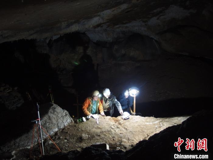 人类最早何时会用鲸骨制作工具？国际最新研究发现2万年前证据