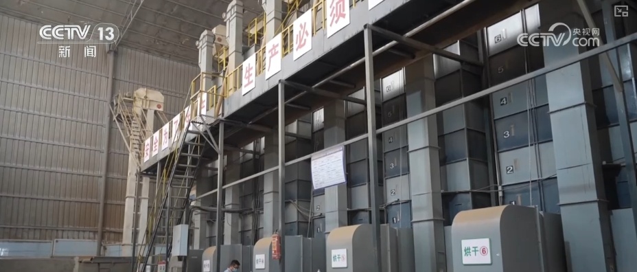 粮食减损过硬“新招”让颗粒归仓有保障 科技赋能夯实粮食安全 粮食减损过硬“新招”让颗粒归仓有保障 科技赋能夯实粮食安全