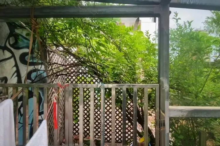 打开16楼电梯门直接傻眼!上海这个文艺感爆棚的市集上空竟藏着这么多……垃圾 打开16楼电梯门直接傻眼!上海这个文艺感爆棚的市集上空竟藏着这么多……垃圾