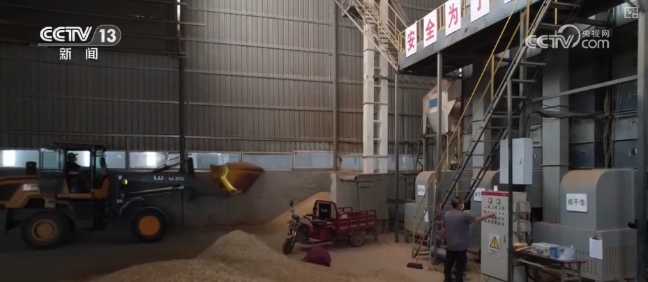 粮食减损过硬“新招”让颗粒归仓有保障 科技赋能夯实粮食安全 粮食减损过硬“新招”让颗粒归仓有保障 科技赋能夯实粮食安全