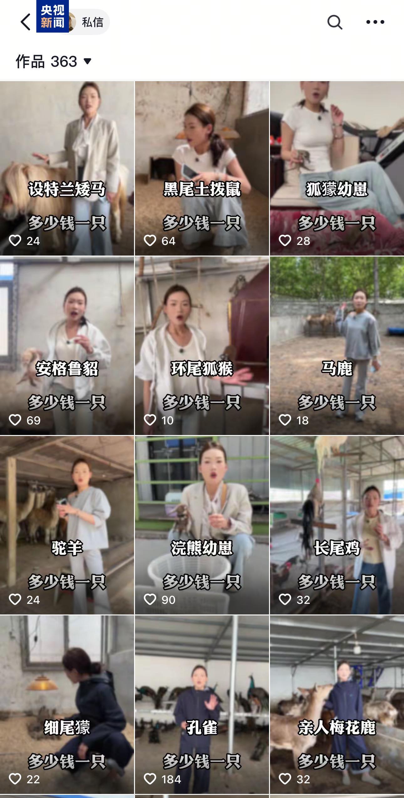 卡皮巴拉、羊驼入驻商场、写字楼 究竟暗藏哪些隐患? 卡皮巴拉、羊驼入驻商场、写字楼 究竟暗藏哪些隐患?