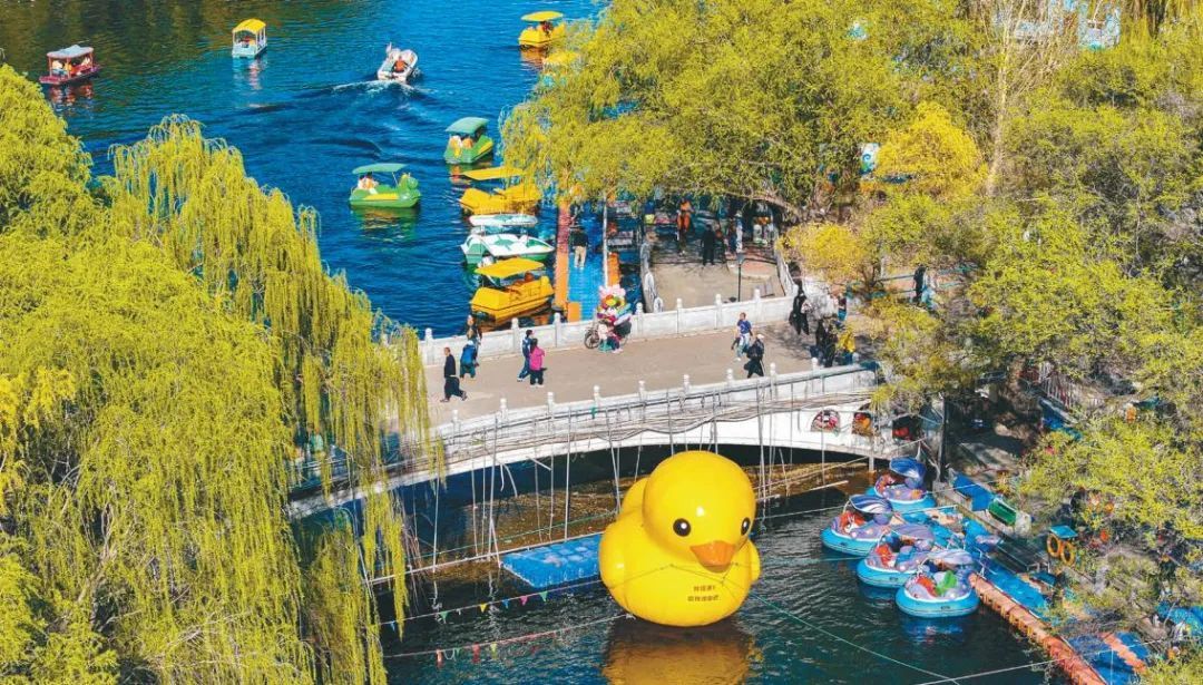 连续5天气温30℃+！沈阳人请务必检查自己的车，这些物品可能变“炸弹”！