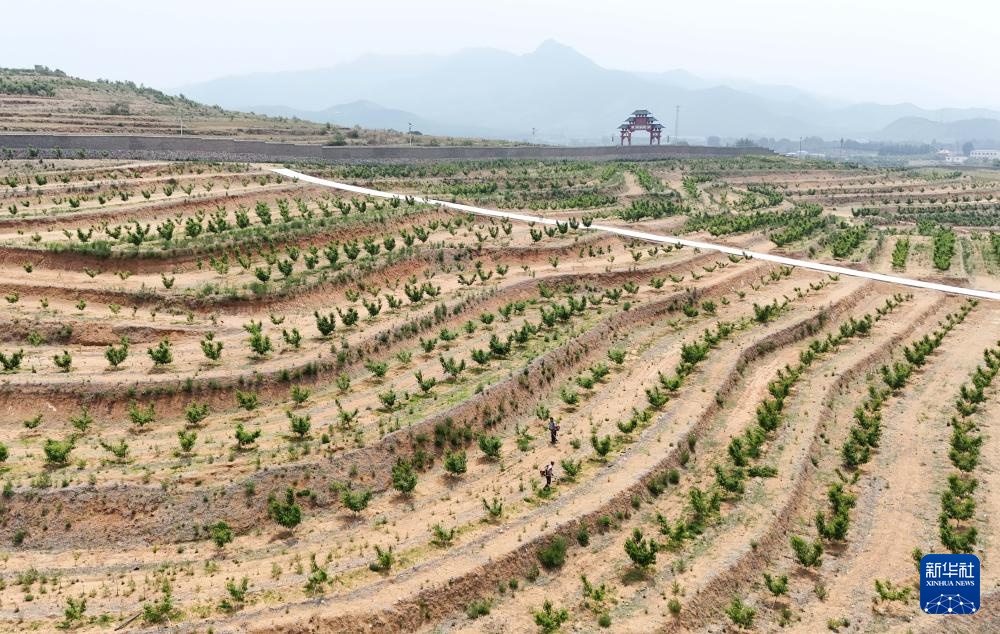 河北卢龙：小流域治理绘就生态丰饶画卷