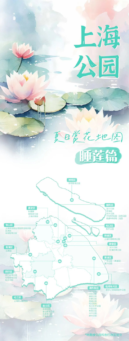 睡莲花开，这幅申城“赏莲地图”别错过→