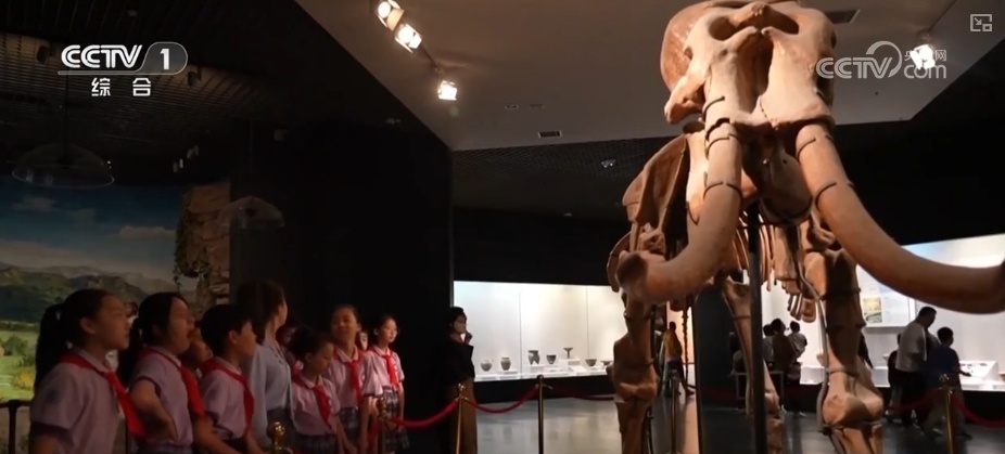 各地多彩活动迎“六一” 守护红色根脉做新时代好少年 各地多彩活动迎“六一” 守护红色根脉做新时代好少年