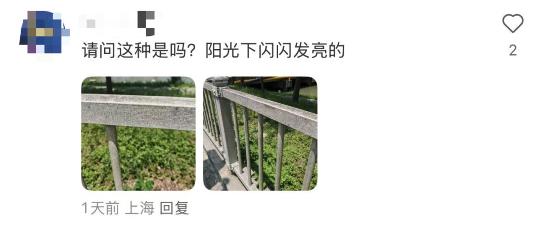 不要碰，很多人家里就有！有女子崩溃：怎么也清理不干净