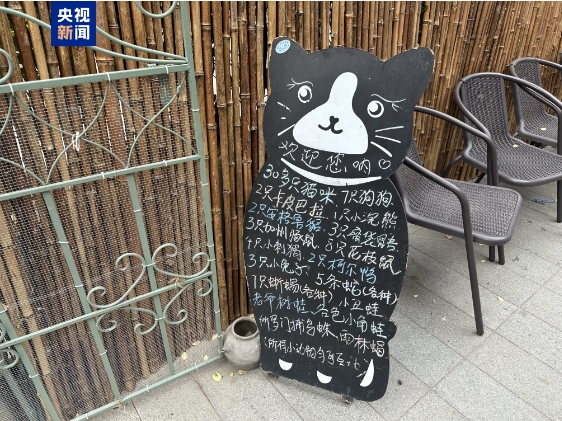 卡皮巴拉、羊驼入驻商场、写字楼 究竟暗藏哪些隐患? 卡皮巴拉、羊驼入驻商场、写字楼 究竟暗藏哪些隐患?