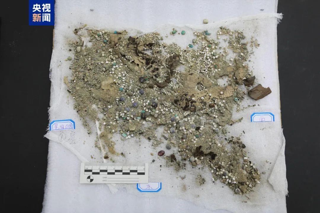 考古成果上新!中国龙再添新形象 考古成果上新!中国龙再添新形象