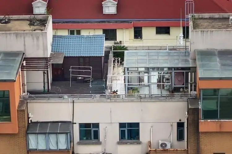 打开16楼电梯门直接傻眼!上海这个文艺感爆棚的市集上空竟藏着这么多……垃圾 打开16楼电梯门直接傻眼!上海这个文艺感爆棚的市集上空竟藏着这么多……垃圾