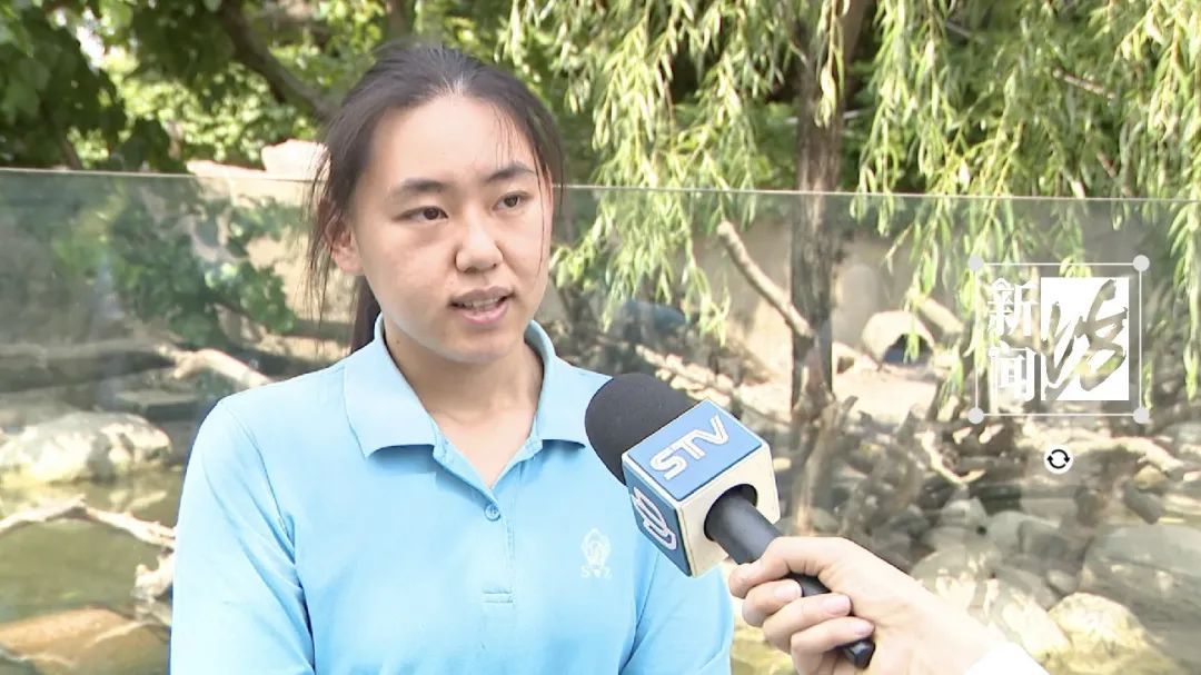 注意！上海这里“嘤嘤怪”出没！你见过没？！