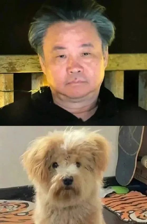 冲上热搜！余华：现在已经写不出来《活着》了，“一切的变化都会导致你回不去了”