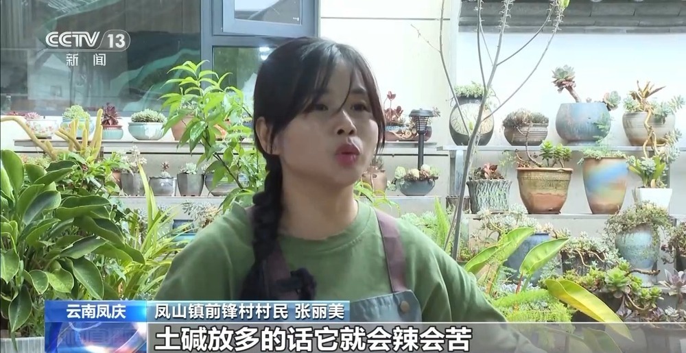 传统与创意碰撞！全国多地端午民俗活动大赏→