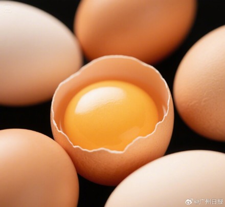 专家：生食无菌蛋不如熟吃普通蛋
