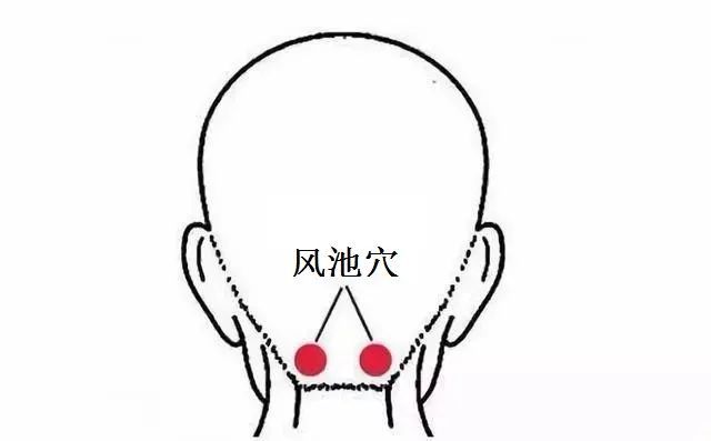 中高考在即,健脑指南看这里,镇静醒脑、提高专注力 中高考在即,健脑指南看这里,镇静醒脑、提高专注力