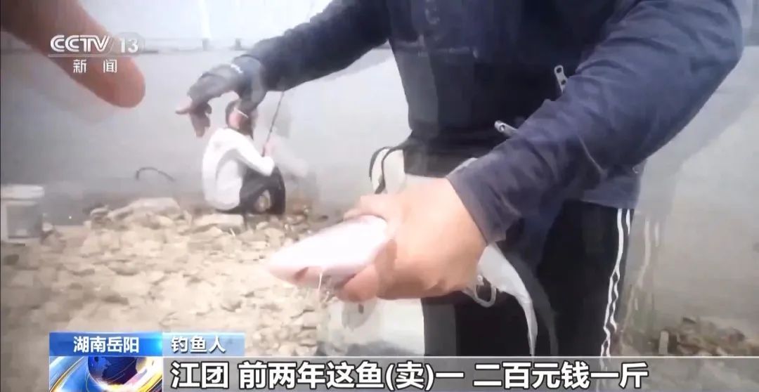 为钓大鱼操控无人艇进保护区!洞庭湖禁捕区怎么成了“垂钓场”? 为钓大鱼操控无人艇进保护区!洞庭湖禁捕区怎么成了“垂钓场”?