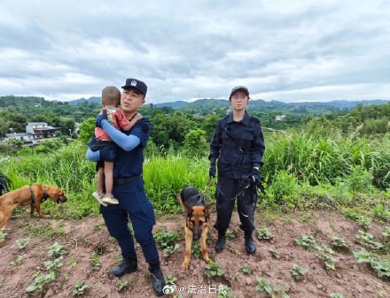 2岁男童走失获救 追踪犬玛丽立功 2岁男童走失获救 追踪犬玛丽立功