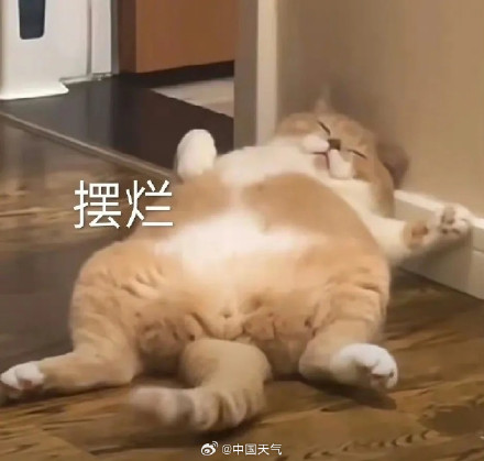 今年1号台风已迟到两个多月 今年1号台风已迟到两个多月