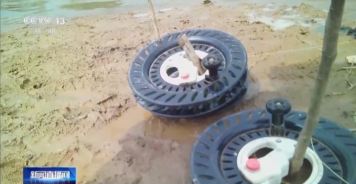 保护区里的“疯狂垂钓”屡禁不止！记者调查→