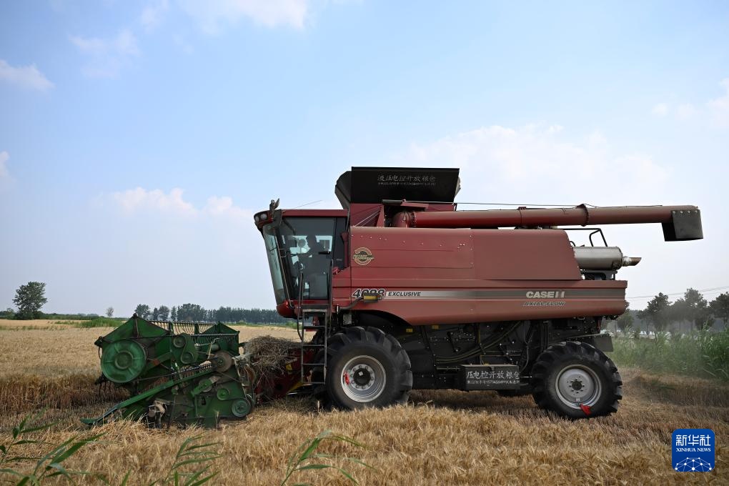 麦浪飘香收获忙 麦浪飘香收获忙