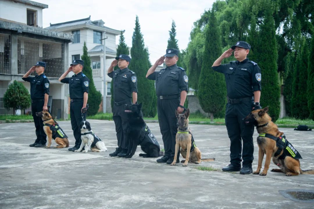 辛苦了，无言的战士！警犬退役撒娇训导员湿了眼眶