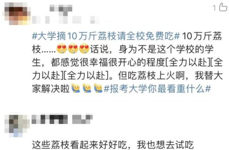 深圳公园里的荔枝免费摘?园方回应→ 深圳公园里的荔枝免费摘?园方回应→