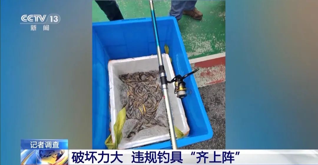 为钓大鱼操控无人艇进保护区!洞庭湖禁捕区怎么成了“垂钓场”? 为钓大鱼操控无人艇进保护区!洞庭湖禁捕区怎么成了“垂钓场”?