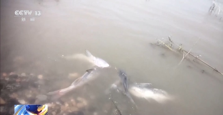 保护区里的“疯狂垂钓”屡禁不止！记者调查→