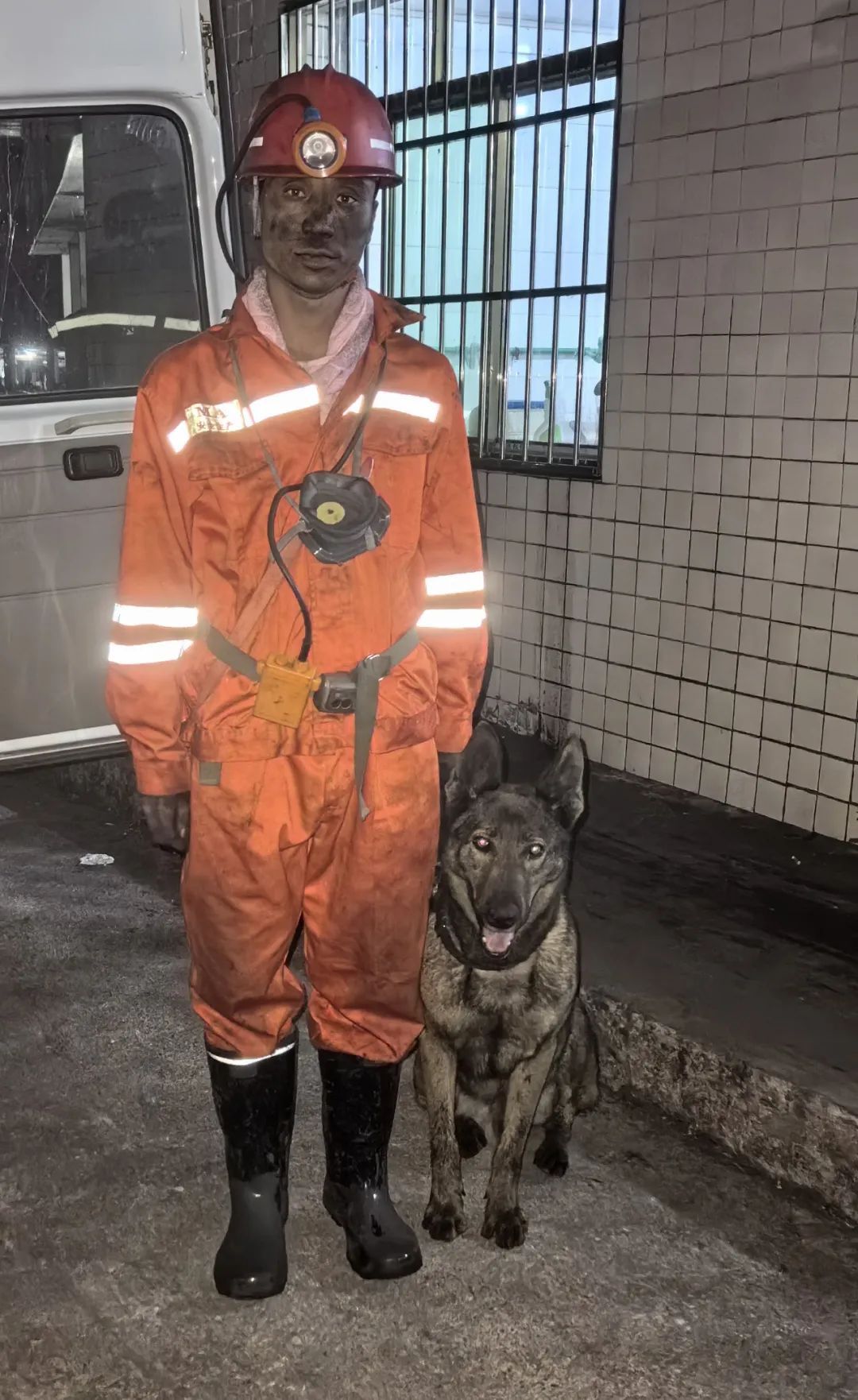 辛苦了，无言的战士！警犬退役撒娇训导员湿了眼眶