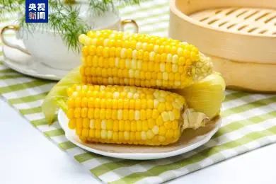 从“肠”计议 这6个习惯正摧毁你的免疫力