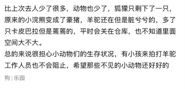 卡皮巴拉、羊驼入驻商场,背后暗藏哪些隐患? 卡皮巴拉、羊驼入驻商场,背后暗藏哪些隐患?