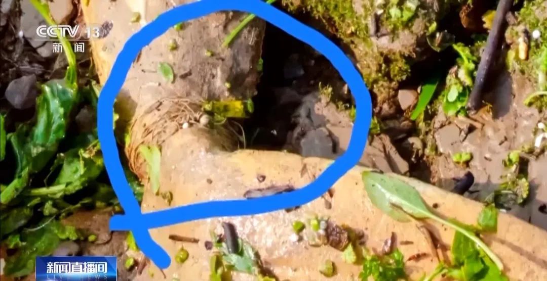 为钓大鱼操控无人艇进保护区!洞庭湖禁捕区怎么成了“垂钓场”? 为钓大鱼操控无人艇进保护区!洞庭湖禁捕区怎么成了“垂钓场”?