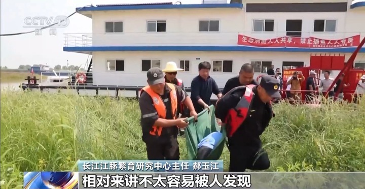 保护区里的“疯狂垂钓”屡禁不止！记者调查→