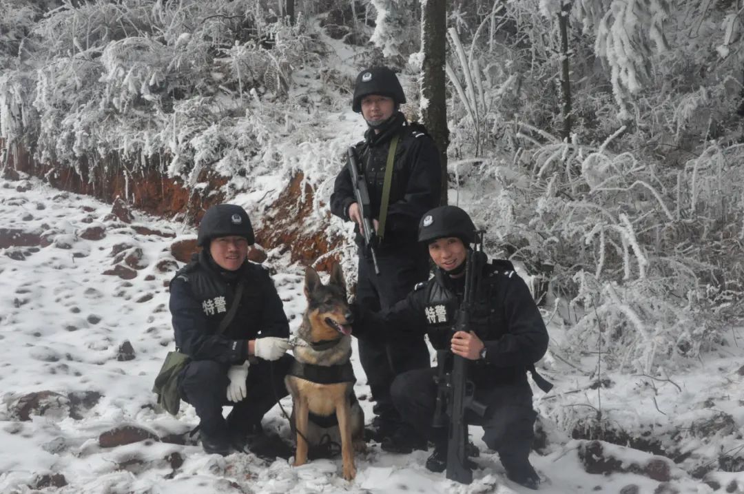 辛苦了，无言的战士！警犬退役撒娇训导员湿了眼眶