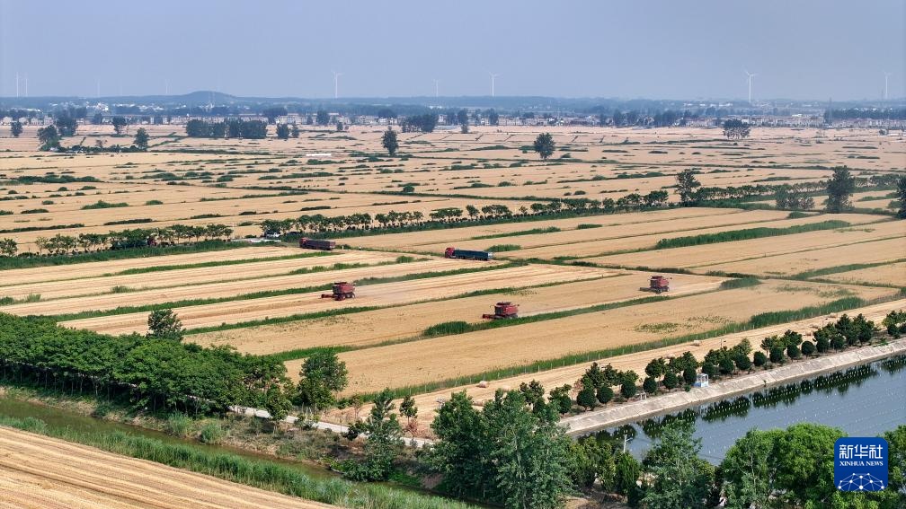 麦浪飘香收获忙 麦浪飘香收获忙