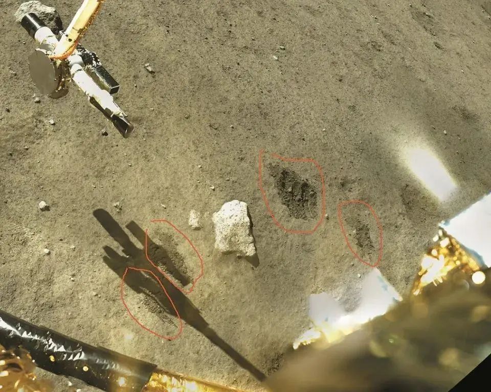 这场答辩,教授来了也得“汗流浃背”,因为...... 这场答辩,教授来了也得“汗流浃背”,因为......