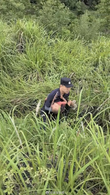 2岁男童走失获救 追踪犬玛丽立功 2岁男童走失获救 追踪犬玛丽立功