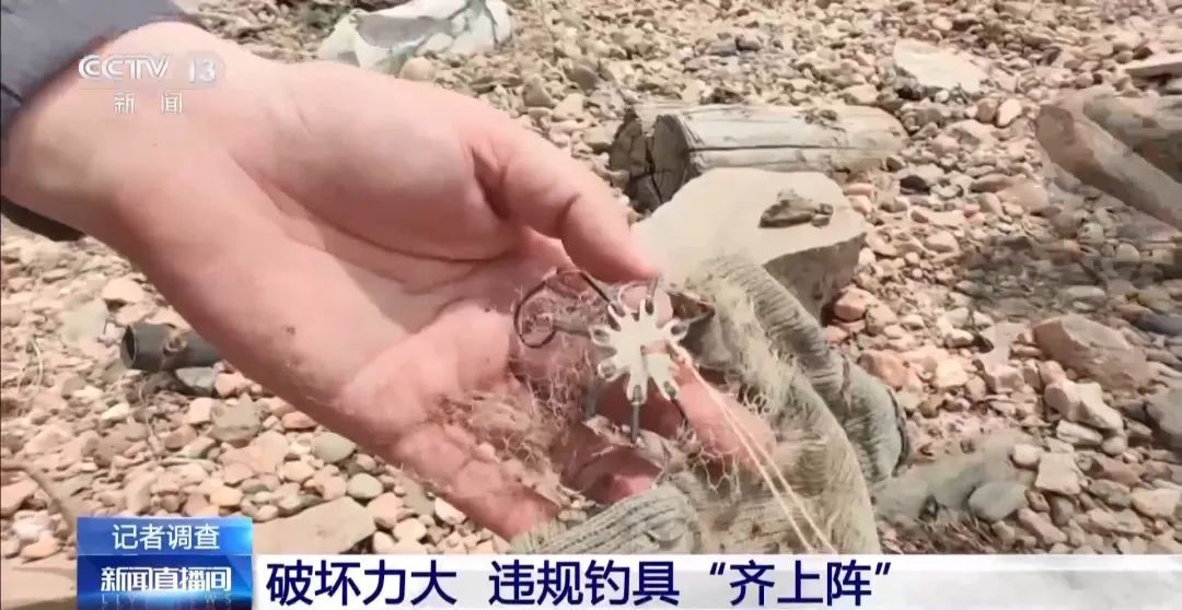 为钓大鱼操控无人艇进保护区!洞庭湖禁捕区怎么成了“垂钓场”? 为钓大鱼操控无人艇进保护区!洞庭湖禁捕区怎么成了“垂钓场”?