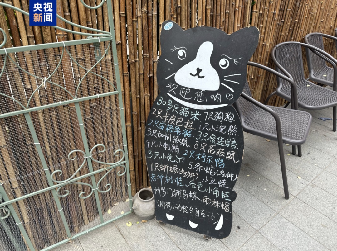 卡皮巴拉、羊驼入驻商场,背后暗藏哪些隐患? 卡皮巴拉、羊驼入驻商场,背后暗藏哪些隐患?