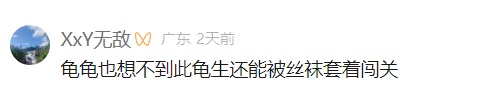 女子穿两层紧身裤，贴身绑藏30只活龟…