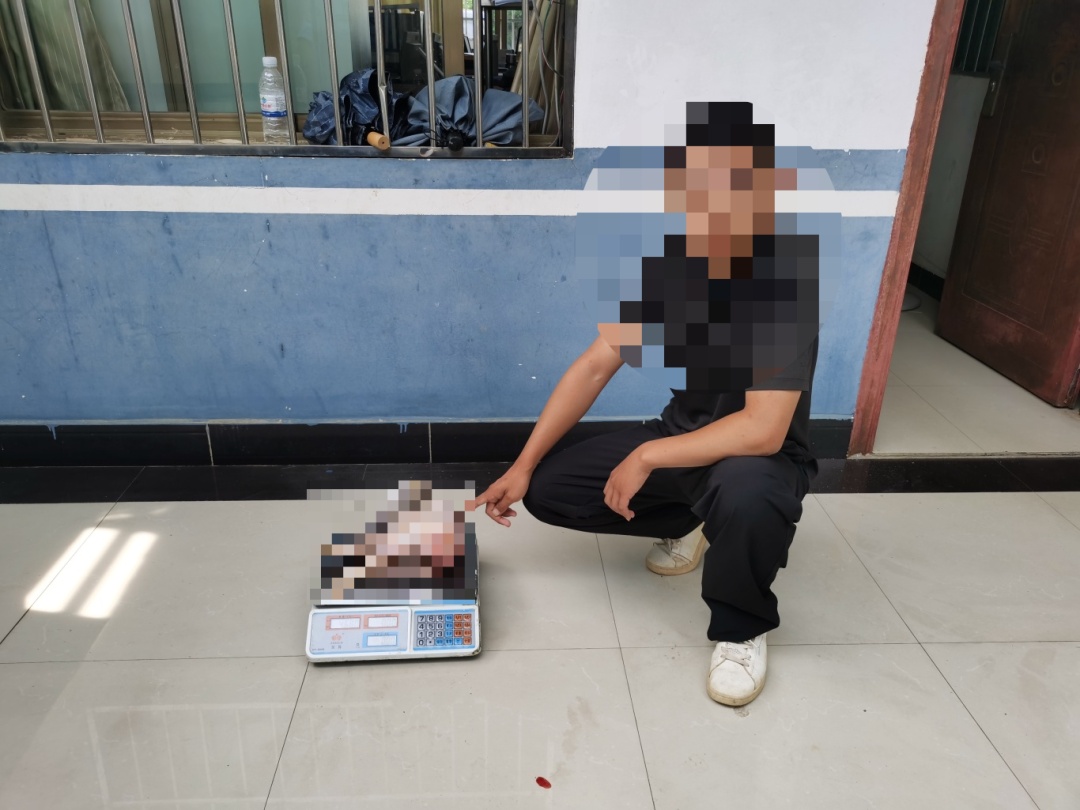 贪图野味,非法狩猎终被抓! 贪图野味,非法狩猎终被抓!