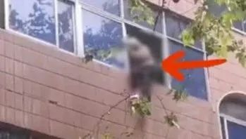 102岁老人3楼坠落!被众人合力接住! 102岁老人3楼坠落!被众人合力接住!