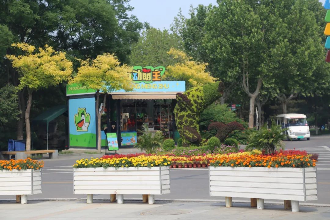 端午节假期,石家庄市动物园免票政策有变! 端午节假期,石家庄市动物园免票政策有变!