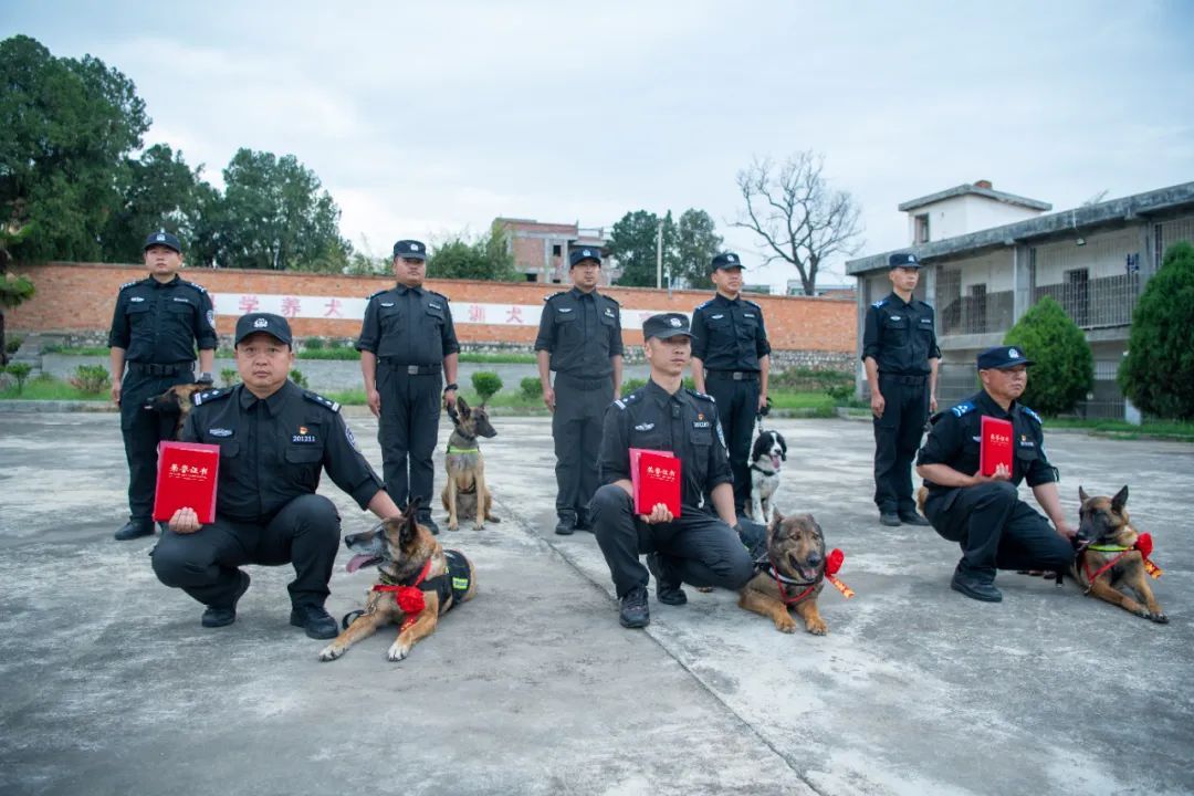 辛苦了，无言的战士！警犬退役撒娇训导员湿了眼眶