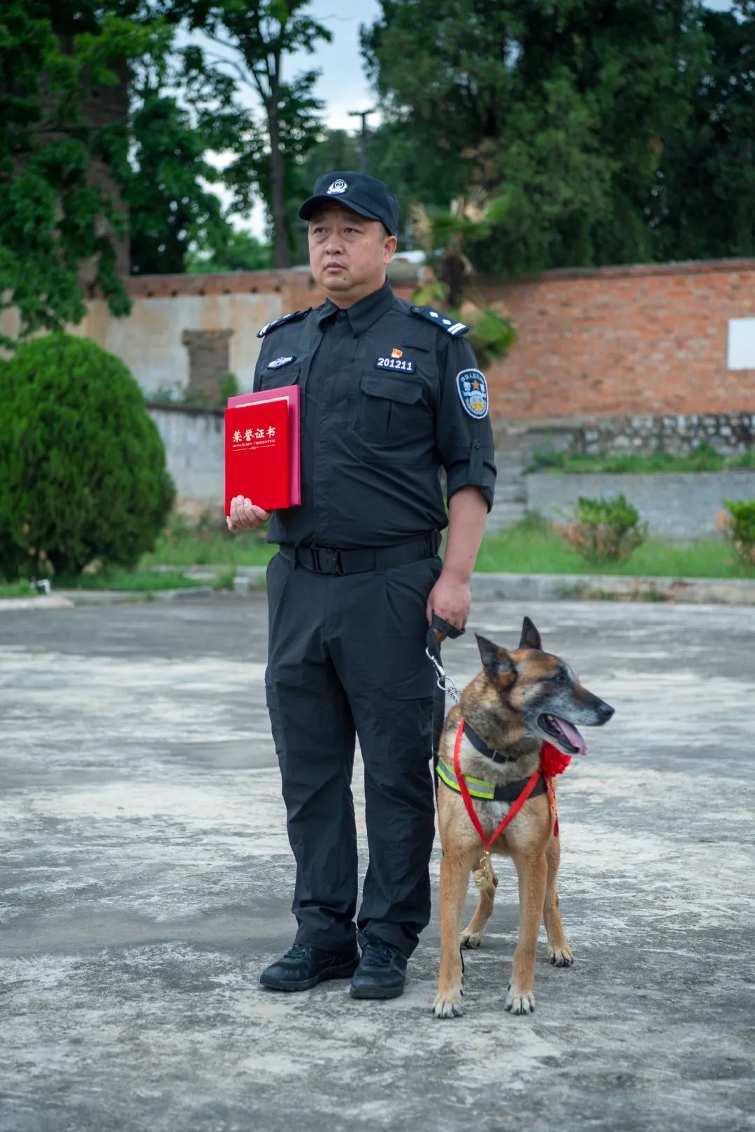 辛苦了，无言的战士！警犬退役撒娇训导员湿了眼眶